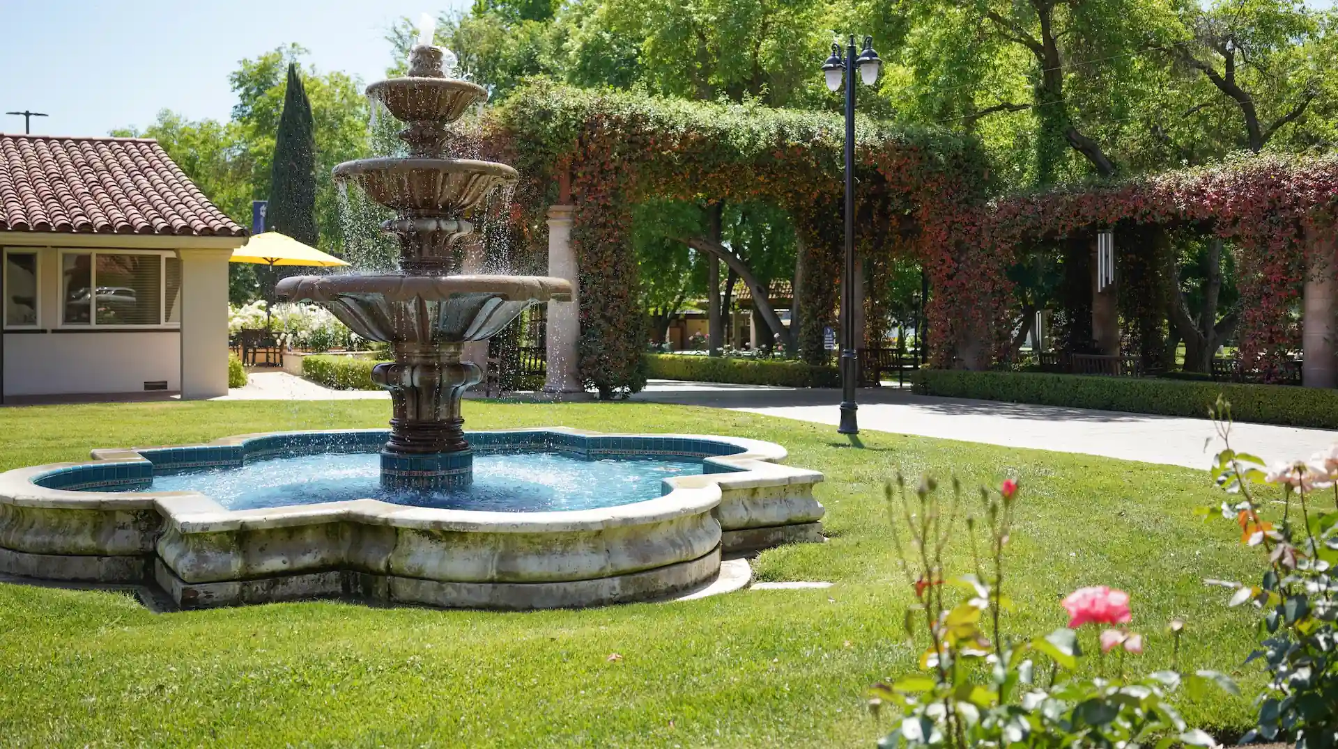 The Vineyards Courtyard Fountain Story