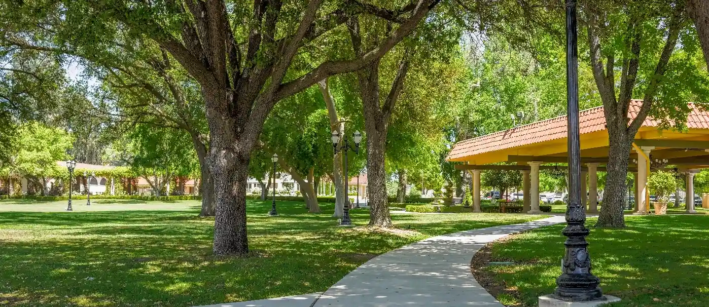 A photo of the lush, green grounds of the Vineyards at California Armenian Home. A concrete path curves through mature, leafy trees towards a covered amphitheater.